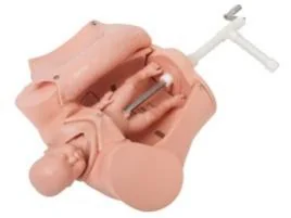 Advanced Delivery Demonstration Model