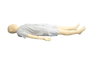 Full-Function TCM Simulation Training Model for Common Acupoints