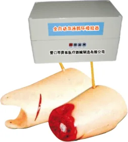 Clinical Surgery Skills Training Model - Item 17052