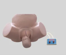 Advanced Dystocia Training Model