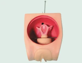 Advanced Family Planning Model