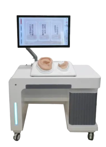 Interactive Auricular Acupoint Training and Assessment System