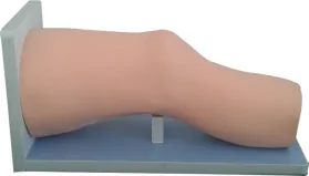 Knee Joint Cavity Injection Model