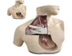 Advanced Nursing Model