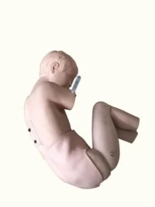 Pediatric Lumbar Puncture Training Model
