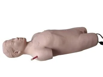 Full-Function Venipuncture Simulation Standardized Patient