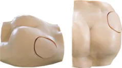 Hip Injection Model