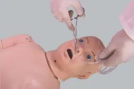 Pediatric Nose Model