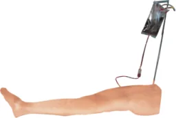 Adult Tibial Puncture Training Model
