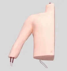 Peripheral Puncture and Central Venous Catheterization Model
