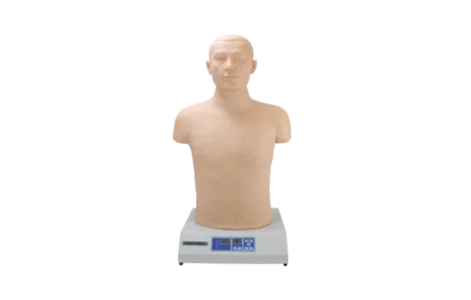 Cardiopulmonary Palpation Auscultation Computerized Simulator ( Standalone Unit )