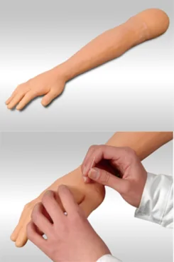 Arm Acupuncture Training Model with Hidden Acupoint Markers