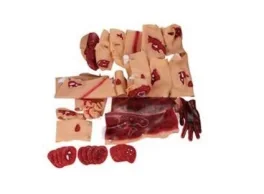 43 Trauma Module