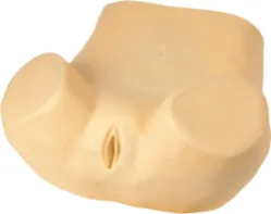 Advanced Gynecology Training Model