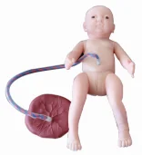 Advanced Newborn Nursing Model