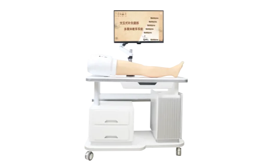 Meridian and Acupoint Visualization Multimedia Teaching System - Leg