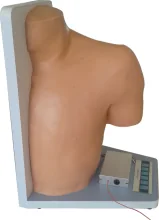 Shoulder Joint Cavity Injection Model