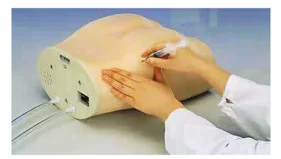 Hip Intramuscular Injection Model - System