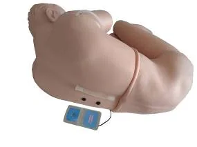 Lumbar Puncture Simulation Standardized Patient with Electronic Monitoring