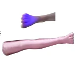 Leg Acupuncture Training Model with Hidden Acupoint Markers