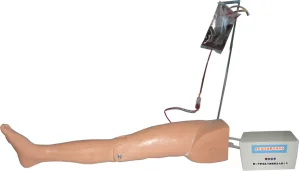 Pediatric Femoral Vein Femoral Artery Puncture Electric Training Model