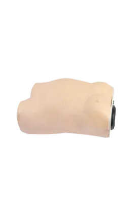 Advanced Half-Body ( ) Model