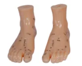 Massage Model 12CM