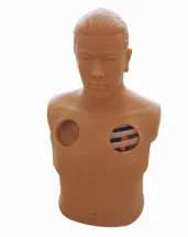 Electric Thoracic Puncture and Drainage Training Model