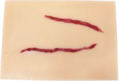 Debridement Suturing Surgery Module