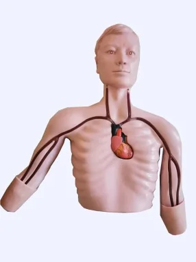 PICC Intervention Training Model