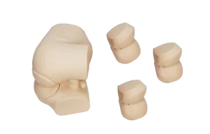Advanced Digital Rectal Examination Model