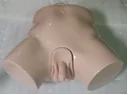 Advanced Male Catheterization Model
