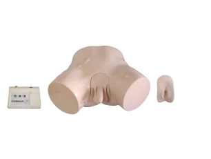 Electronic Catheterization Enema Model