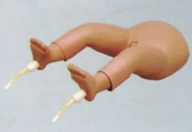 Infant Bone Marrow Puncture Model
