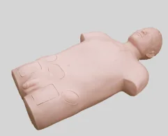 Bone Marrow Puncture Training Model
