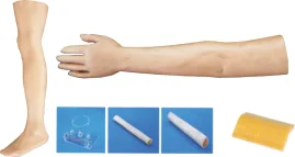 Surgical Training Model