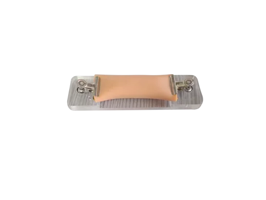 Intestinal Anastomosis Model