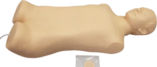Bladder Puncture Training Model