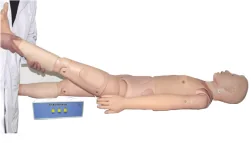Lumbar Training Electronic Standardized Patient