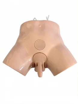Advanced Male Bladder Puncture Model