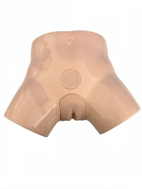 Advanced Female Bladder Puncture Model