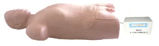 Automatic Pulsatile Femoral Artery Puncture Simulator