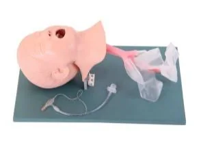Pediatric Intubation Model