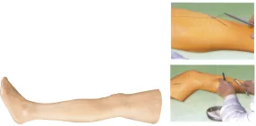Advanced Surgical Suturing Training Model