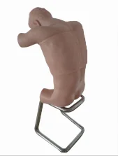 Electric Seated Thoracic Puncture Standardized Patient
