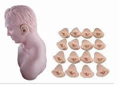 Advanced Ear Model