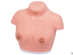 Advanced Breast Palpation Model