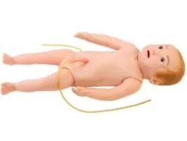 Advanced Infant Full-Body Vein Puncture Model