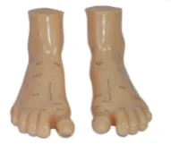 Massage Model 17CM