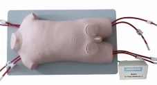 Pediatric Femoral Vein Femoral Artery Puncture Electric Model